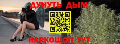 стафф Камышлов
