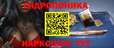стафф Камышлов