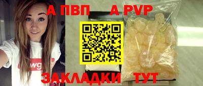 стафф Камышлов