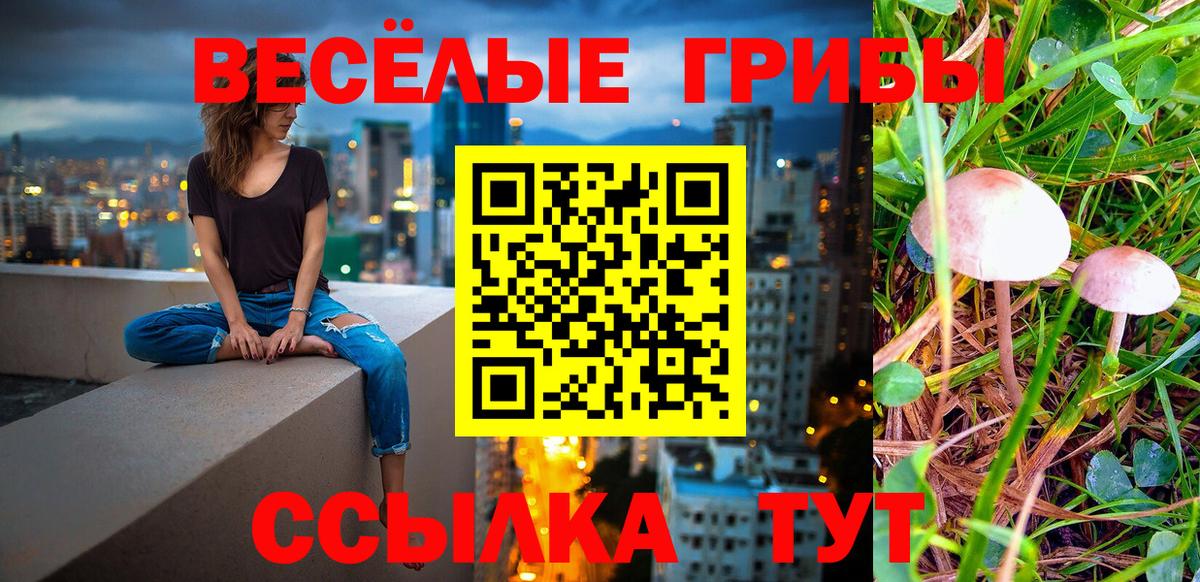 что такое   Галлюциногенные грибы GOLDEN TEACHER  Галлюциногенные грибы мухоморы  Вход с VPN  Кумертау 